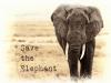 Save the Elephant Day 2022: 16 April  