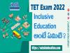 TET Inclusive Education 