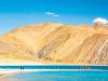 Construction of the Chinese bridge over the Pangong Lake at Khurnak has been completed