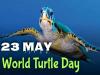 World Turtle Day 2022 observed on 23rd May 