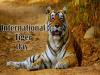 International Tiger Day 2022 observed globally on 29 July