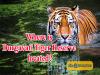 Where is Durgavati Tiger Reserve located
