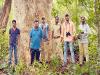 Researchers new plant identified in nallamala forest