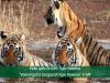 India gets its 54th Tiger Reserve “Veerangana Durgavati Tiger Reserve” in MP