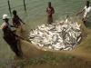 Uttar Pradesh Clinches Top Honors as Best State in Inland Fisheries