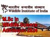 Academic Year 2024-26 M.Sc Wildlife Science   Wildlife Institute of India  Wildlife Science Admission 2024   Apply Now for M.Sc Wildlife Science 2024-26 