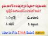 National Current Affairs    sakshi education currentaffairs for competitive exams