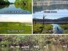 Five new Ramsar sites in the country    5 New Ramsar Wetlands Revealed
