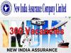 Eligibility Criteria for New India Assurance Recruitment   Important Details for New India Assurance Notification  New India Assurance Recruitment 2024   New India Assurance Recruitment