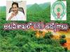 689 Posts In Forest Department  689 Job Vacancies     689 Vacancies in Andhra Pradesh Forest Department   Andhra Pradesh Forest Department Notification