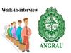 ANGRAU Junior Research Fellow Recruitment 2024