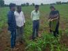 survey to strengthen agricultural education