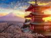 Japan tourist attractions  Japan Rolls Out eVisa System For Indian Tourists   E-visa application form  