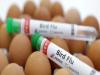 Scientists warn of deadly H5N1 Bird Flu pandemic  