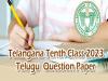 Telangana - Tenth Class Telugu April 2023 Question Paper