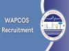 WAPCOS Job Opportunity  Career Opportunity  Jobs for engineering at Water and Power Consultancy Services Limited
