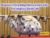 Bengaluru Flying Wedge Defence Unveils India First Indigenous Bomber UAV