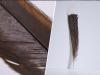 World's Most Expensive Feather Sold In New Zealand   Precious huia feather fetches record price