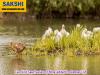 Two bird Sanctuaries of Bihar added to Ramsar List