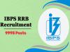 Replacement vacancy announcement  CRP Common Recruitment Process GIII  Group B Office Assistant   Group A Officer  IBPS Apply now  Various posts at Institute of Banking Personnel Selection and Regional Rural Bank