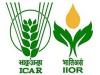 Applications for junior research fellow posts at ICAR-IIOR