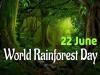Empowering the world to protect our rainforests as the theme of World Rainforest Day 2024