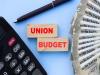 Union Budget 2024: ఆర్థిక సర్వే, బడ్జెట్‌ మధ్య తేడా ఏమిటంటే  Union Minister Nirmala Sitharaman announcing the release of the Union Economic and Social Survey 2024-25  Announcement of the Union Budget 2024 on July 23  