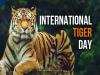 International Tiger Day Date and history