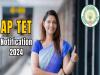 Alert for TET Aspirants: Clarity on Application Deadline Extension, Current Applications