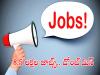 Meesho Hires 8.5 Lakh Jobs Meesho Hires 8.5 Lakh Seasonal Staff for Festive Season