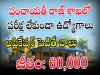 Panchayat Raj Department Jobs