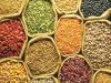 List of Top 10 Pulses Producing Countries in the World