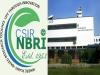 CSIR – NBRI Various Posts Latest Recruitment 2024  Junior Hindi Translator Recruitment Notification  Junior Stenographer Recruitment Notification Security Officer Recruitment Notification  CSIR NBRI Job Vacancy Announcement  Online Application for NBRI Recruitment  