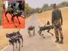 Indian Army Inducted 100 Robotic Mules