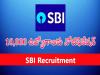 Jobs In SBI