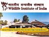 Wildlife Institute of India Contractual Positions Notification 2024