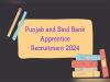 Apprentice posts at punjab and sind bank  Punjab-Sind Bank Apprenticeship Vacancy Announcement  Application Form for Punjab-Sind Bank Apprentices  Punjab-Sind Bank Logo with Apprenticeship Notice  