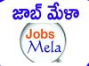 APSSDC job fair in Sattenapalli   Job Mela  APSSDC Job Fair in Sattenapalli, Andhra Pradesh  Employment Exchange and CEDAP organize job fair  Job fair organized by Andhra Pradesh State Skill Development Corporation  