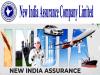 NIACL AO Phase II 2024 Result Out  New India Assurance AO Phase 2 result announcement  New India Assurance Company AO Scale I Phase II result 