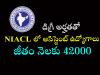 New India Assurance Company Limited jobs