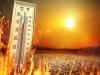 2024 Was Earth Hottest Year