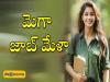 Mega Job Mela For Freshers   Mega job fair by Directorate of Employment and Training, Andhra Pradesh  919 posts available in Andhra Pradesh job fair  Job fair interview at Government Degree College, Salur  Unemployed candidates invited to apply for job fair in Andhra Pradesh  Andhra Pradesh job fair recruitment at Government Degree College, Salur 