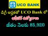 UCO Bank jobs