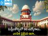 Supreme Court Law Clerk Recruitment 2025 Notification