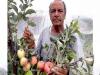 Himachal Farmer Hariman Sharma Selected for Padma Shri Revolutionised Apple Cultivation