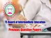 Telangana Senior Intermediate 2023 English Question Paper