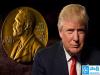 Donald Trump Nominated for the Nobel Peace Prize  Trump Nobel Peace Prize Nomination  