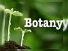 TG inter 1st year botany exam preparation papers and tips 2025