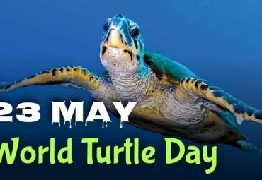 World Turtle Day 2022 observed on 23rd May 