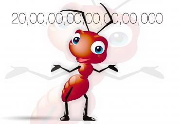 How many ants are there on Earth? 
